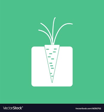 Icon turnips in the ground vector image