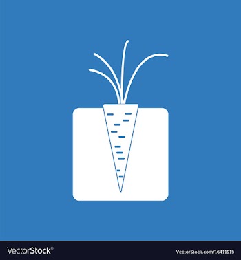 Icon turnips in the ground vector image