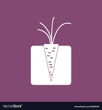 Icon turnips in the ground vector image