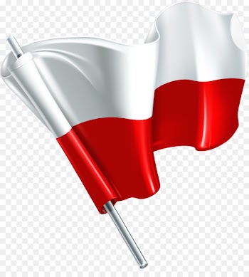 Icon - Vector painted red flag flying 