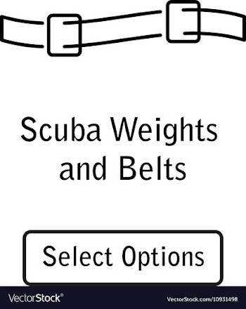 Icon weight and belt scuba diving equipment vector image