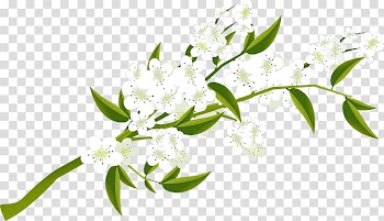 Icon, White Pear transparent background PNG clipart