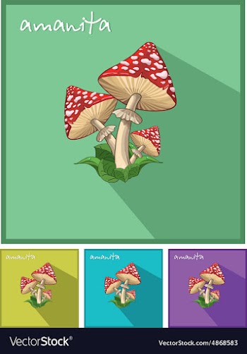 Icon with fly agaric vector image