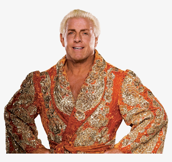 Iconric Flair - Ric Flair Cut Out - Free Transparent PNG Download ...