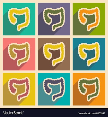Icons of assembly duodenum in flat style vector image