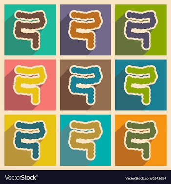 Icons of assembly duodenum in flat style vector image
