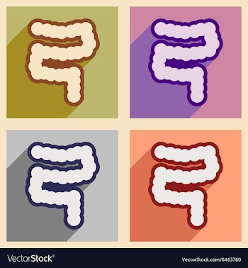 Icons of assembly duodenum in flat style vector image