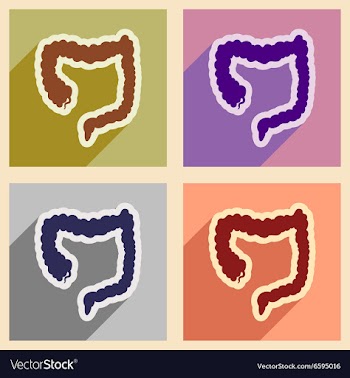 Icons of assembly duodenum in flat style vector image