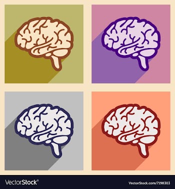 Icons of assembly human brain in flat style vector image