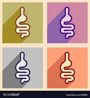 Icons of assembly human intestines in flat style vector image
