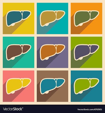 Icons of assembly human liver in flat style vector image