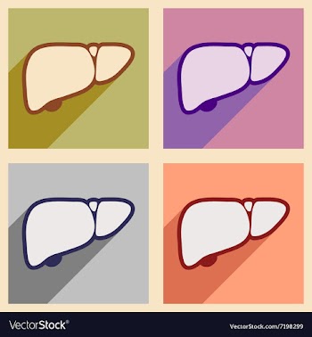 Icons of assembly human liver in flat style vector image