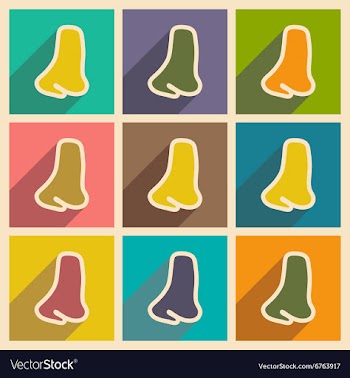 Icons of assembly human nose in flat style vector image