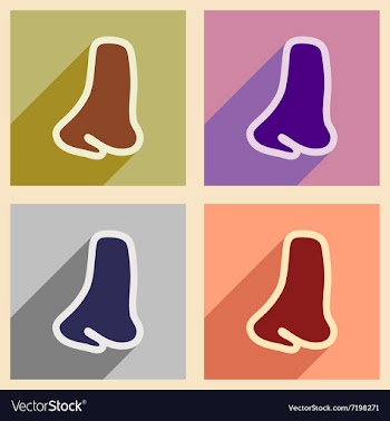 Icons of assembly human nose in flat style vector image