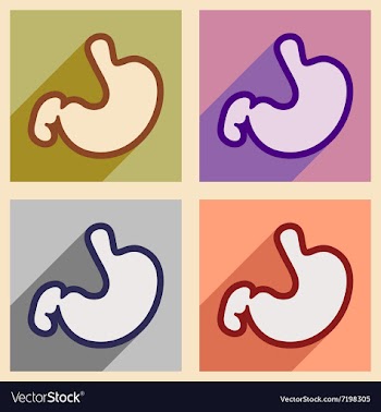 Icons of assembly human stomach in flat style vector image
