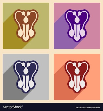Icons of assembly man penis in flat style vector image