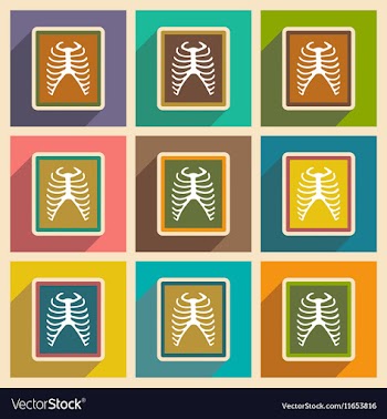 Icons of assembly X-rays of ribs in flat style vector image