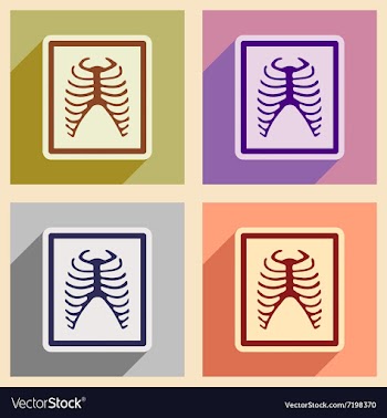 Icons of assembly X-rays of ribs in flat style vector image