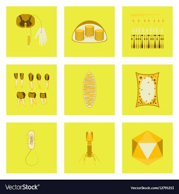 Icons set in flat style cells viruses teeth vector image
