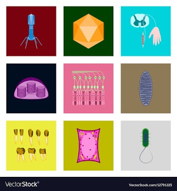 Icons set in flat style cells viruses teeth vector image