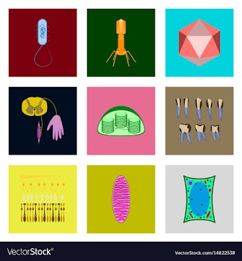 Icons set in flat style cells viruses teeth vector image
