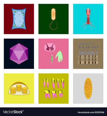 Icons set in flat style cells viruses teeth vector image