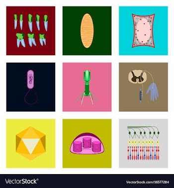 Icons set in flat style cells viruses teeth vector image