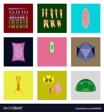 Icons set in flat style cells viruses teeth vector image
