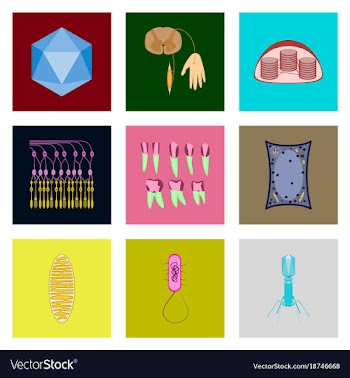 Icons set in flat style cells viruses teeth vector image