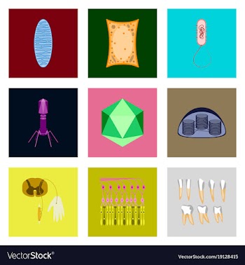 Icons set in flat style cells viruses teeth vector image