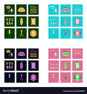 Icons set in flat style cells viruses teeth vector image