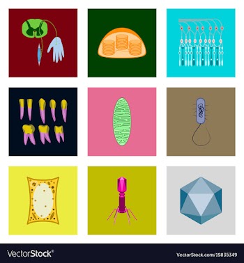 Icons set in flat style cells viruses teeth vector image