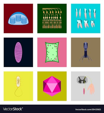 Icons set in flat style cells viruses teeth vector image
