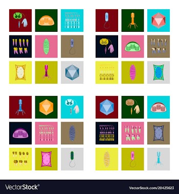 Icons set in flat style cells viruses teeth vector image