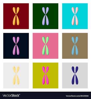 Icons set in flat style chromosome vector image