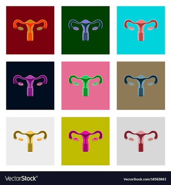 Icons set in flat style female reproductive system vector image