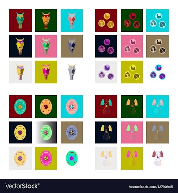 Icons set in flat style human biology vector image