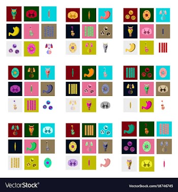 Icons set in flat style human biology vector image