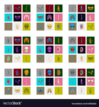 Icons set in flat style human bones vector image