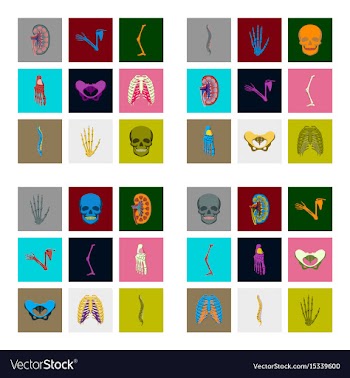 Icons set in flat style human bones vector image