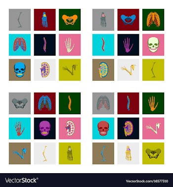 Icons set in flat style human bones vector image