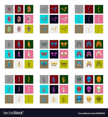 Icons set in flat style human bones vector image