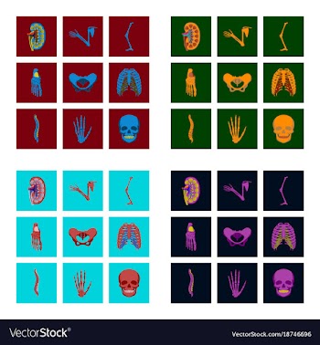 Icons set in flat style human bones vector image
