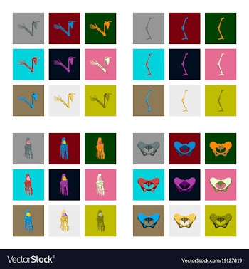 Icons set in flat style human bones vector image