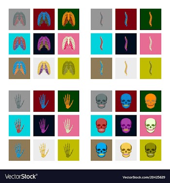 Icons set in flat style human bones vector image