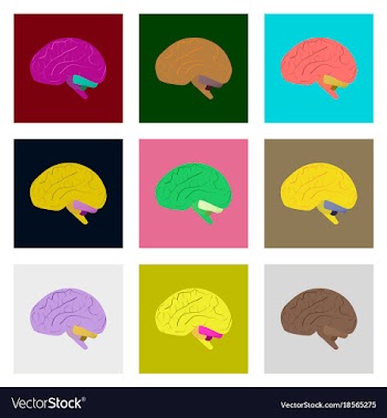 Icons set in flat style human brain vector image
