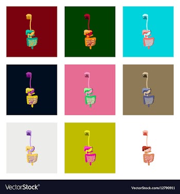 Icons set in flat style human digestive system vector image
