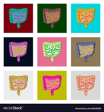 Icons set in flat style human gastrointestinal vector image