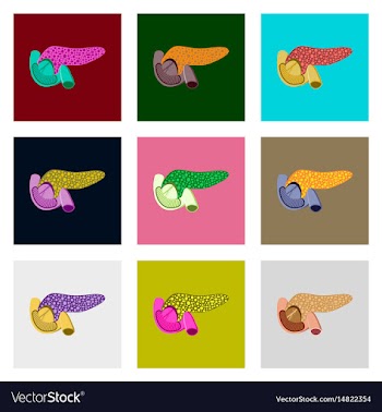 Icons set in flat style human organ duodenum and vector image