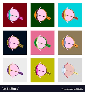 Icons set in flat style human organ eye vector image